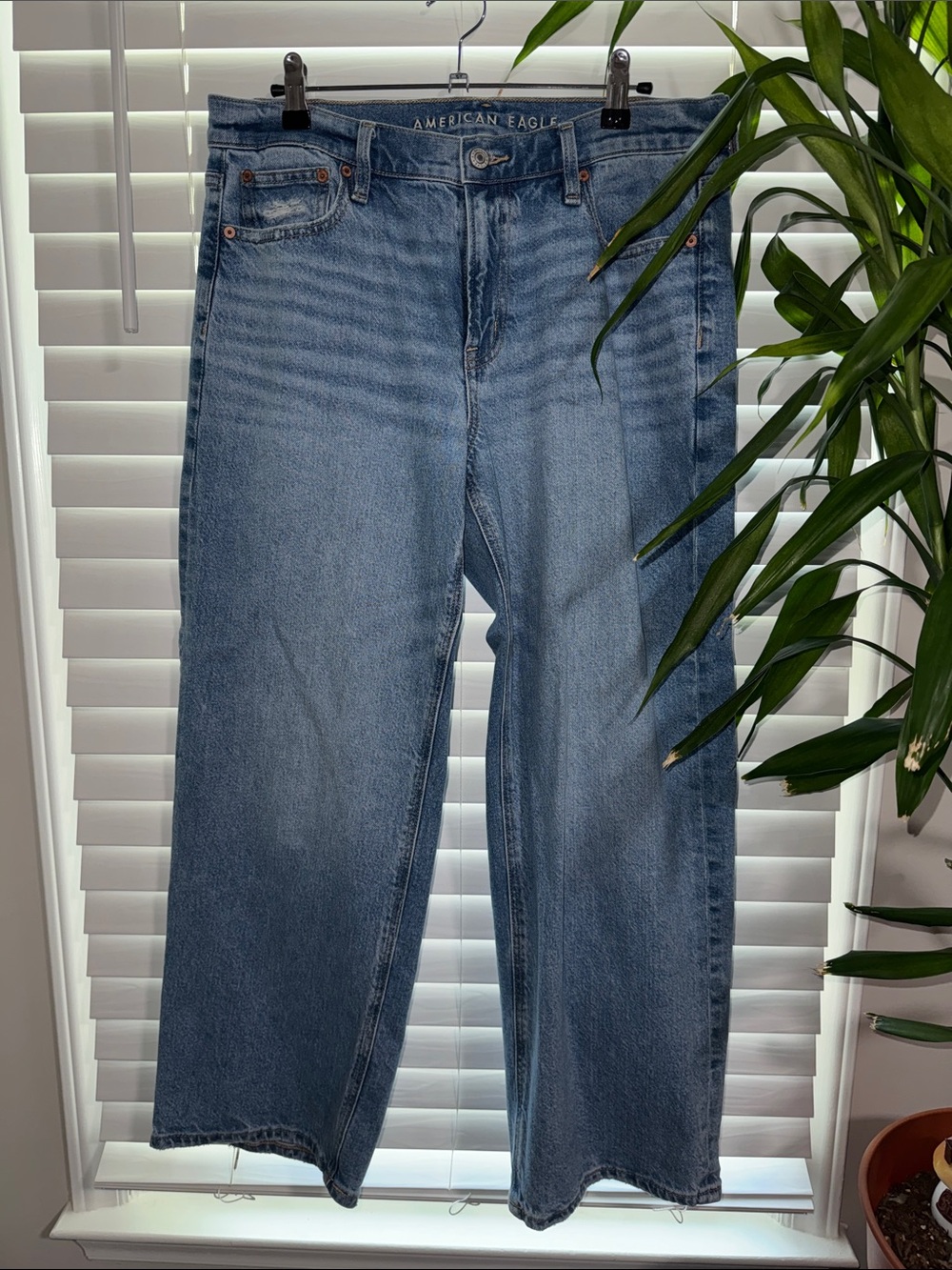 American Eagle Outfitters Light Blue Stovepipe Jeans - Size 8 Short